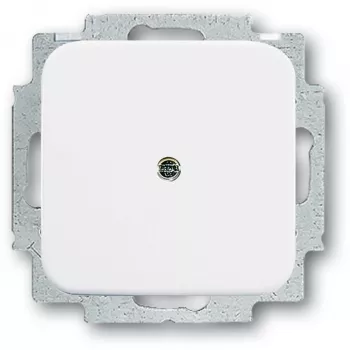 Busch-Jaeger 2538-214 — baltas elektros jungiklio aksesuaras jungiklių rėmeliams ir moduliams
