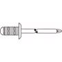 Aklakniedė GESIPA Polygrip 4,8×25 Al/Pl, užveržimo diapazonas 11,0–19,5 mm – pakuotė 250 vnt.
