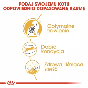 Sausas kačių ėdalas Royal Canin Bengal Adult 2 kg – paukštiena, 40% baltymų, 18% riebalų, virškinimo ir odos priežiūra