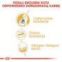 Royal Canin Bengal Adult sausas kačių maistas, 2 kg, paukštiena ir daržovės