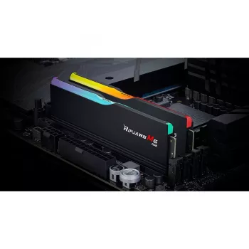 DIMM 48 GB DDR5-5200 (2x 24 GB) Dual-Kit, Arbeitsspeicher schwarz, F5-5200J4040A24GX2-RM5RK, Ripjaws M5, INTEL XMP