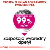 Sausas šunų ėdalas Royal Canin Mini Exigent 1 kg – mažų veislių suaugusiems, 30% baltymų, 22% riebalų