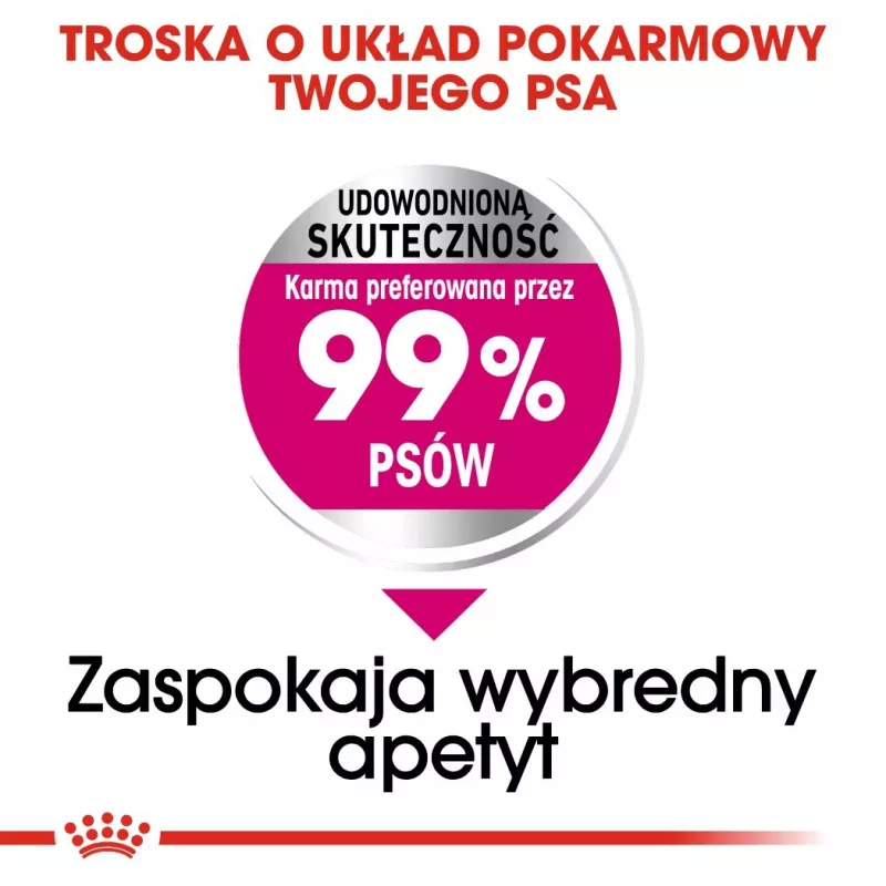 Sausas šunų ėdalas Royal Canin Mini Exigent 1 kg – mažų veislių suaugusiems, 30% baltymų, 22% riebalų