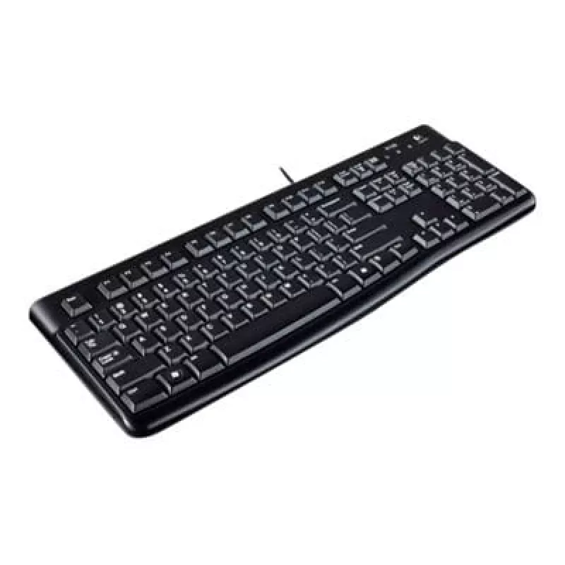 Logitech Desktop MK120, laidinis, USB, QWERTZ, juodas, su pele