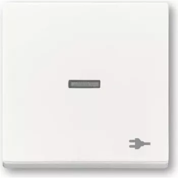 Busch-jaeger 2CKA001751A3160
