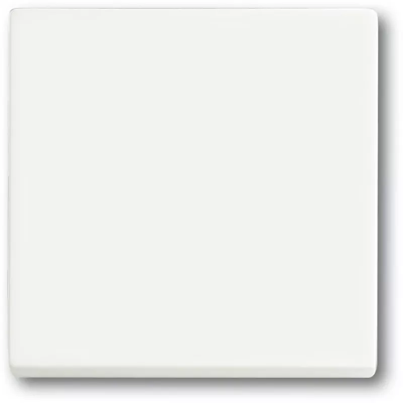 Jungiklis Busch-Jaeger 1751-0-3027 — plastikinis korpusas, baltas, mygtukinis valdymas, 63×63 mm