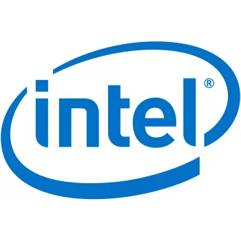 Intel Remote Management Module 4 Lite 2 nuotolinio valdymo adapteris (AXXRMM4LITE2)