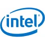 Intel Remote Management Module 4 Lite 2 nuotolinio valdymo adapteris (AXXRMM4LITE2)