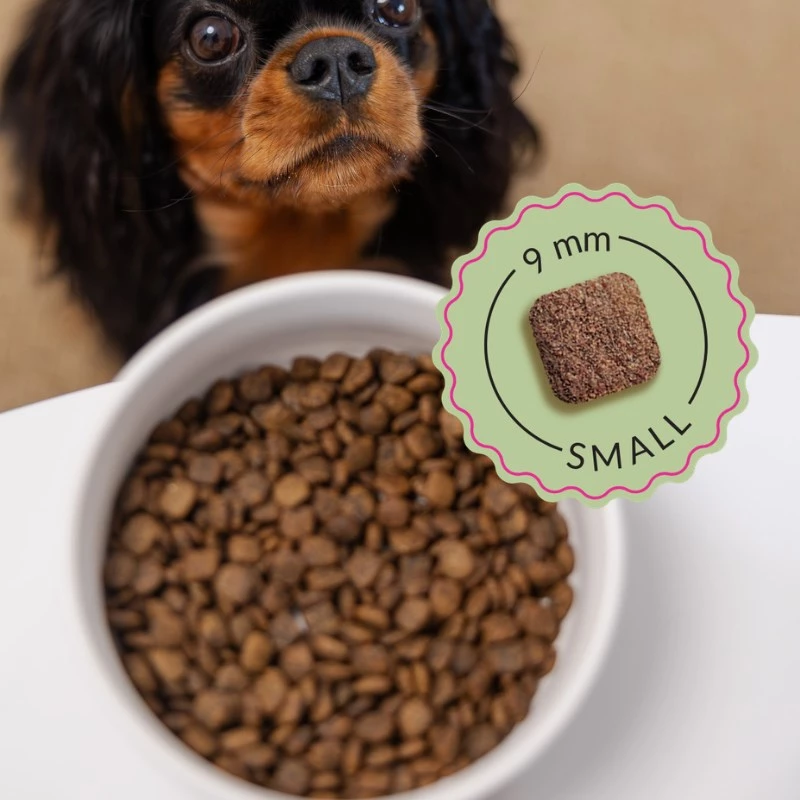 ADDVENA Boosted by superfoods Junior Small Beef - sausas šunų ėdalas - 2,5 kg