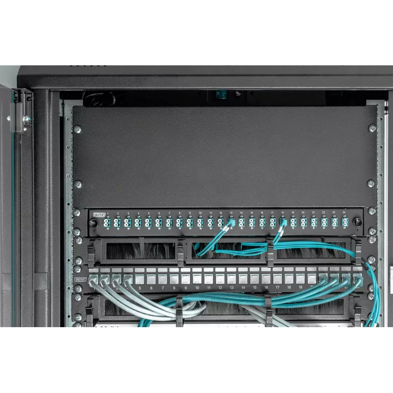 Tuščias skydelis Digitus DN-19 BPN-04-SW 4U juodas