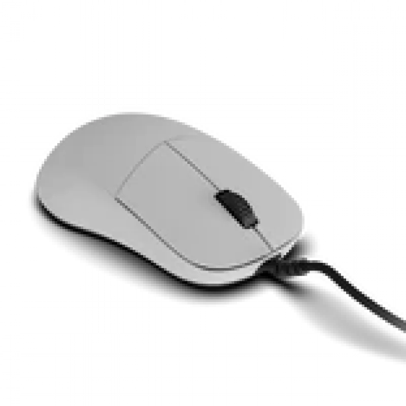 Žaidimų pelė Endgame Gear XM2 8k v2