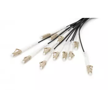 Breakout kabelis Digitus DK-2433CU030BK-BBB 30m OM4 12 skaidulų LC/UPC