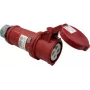 As Schwabe 60575
