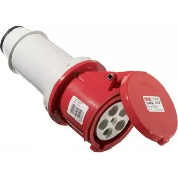 As Schwabe 60428
