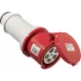 As Schwabe 60428