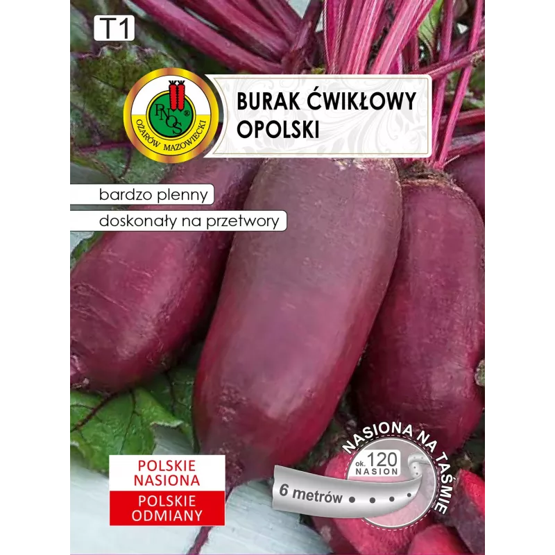 Sėklų juosta — Apte burokėlis (raudonasis) Opolski cilindrinis, 6 m ritinys, paruoštas sėjai