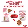 Šlapias kačių ėdalas Royal Canin Sterilised Gravy, 12 x 85 g pakeliai – vištiena, sterilizuotiems kačiukams, 11% baltymų, 80,5% drėgmės