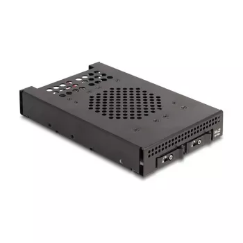 SSD korpusas DeLOCK 47117 3.5 col. mobilus stovas 2 x M.2 NVMe SSD