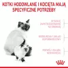 Sausas kačių ėdalas Royal Canin Mother & Babycat 4 kg – paukštiena, baltymai 34%, riebalai 25%, nėščioms, žindančioms katėms ir kačiukams