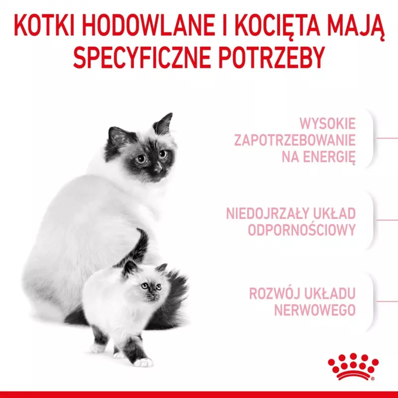 Sausas kačių ėdalas Royal Canin Mother & Babycat 4 kg – paukštiena, baltymai 34%, riebalai 25%, nėščioms, žindančioms katėms ir kačiukams