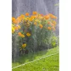Laistymo žarna Gardena 1995-20 7,5 m su purkštukais