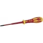 Atsuktuvas c.k tools Dextro T49242-1 PH1, antgalio ilgis 100 mm