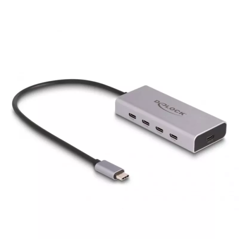 DeLOCK USB 3.2 Gen 2 šakotuvas USB-C 4 prievadai PD 85W 30cm