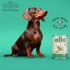 OLLO Umami Žąsiena ir kalakutiena – šlapias šunų ėdalas – 850g