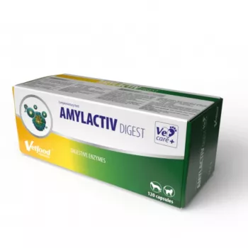 Virškinimo papildas kapsulėmis Vetfood Amylactiv šunims ir katėms, 120 kapsulių, papildomas pašaras, 100 g