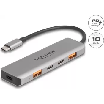 DeLOCK 64302 USB 3.2 Gen 2 Type-C dokų stotelė, pilka, metalinis korpusas, 95 W