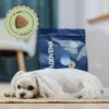 ADDVENA Power of Nature Adult Sensitive Small Ėriena - sausas šunų maistas - 10kg