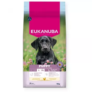 Sausas šunų ėdalas EUKANUBA Puppy Large Chicken 15 kg