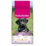 Sausas šunų ėdalas EUKANUBA Puppy Large Chicken 15 kg
