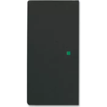 Busch-Jaeger 2CKA006220A0503 Dengimo plokštelė jutiklio laikikliui ir lizdui, juoda (2CKA006220A0503)