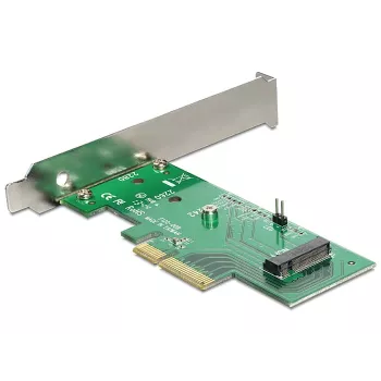Vidinis M.2 adapteris DeLOCK 89370