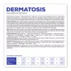 VET EXPERT Veterinary Diet Dermatosis Dog Salmon & Potato - sausi šunų ėdalai - 2 kg