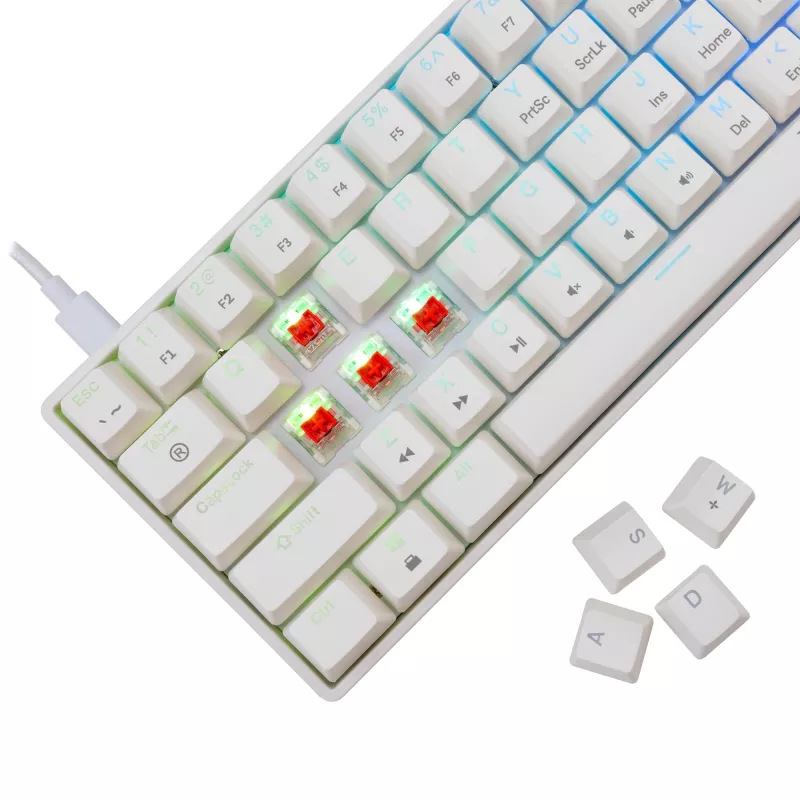 Laidinė mechaninė klaviatūra White Shark Shinobi-2 (GK-004211) — US išdėstymas, Red jungikliai, balta