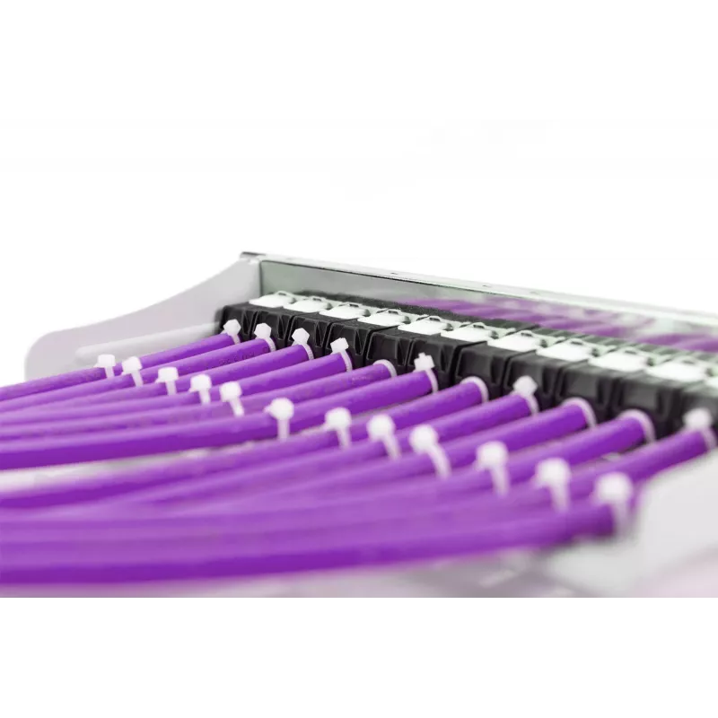 DIGITUS - Biri viela - 100,0 m - UTP - CAT 6 - Violetinė (DK-1613-VH.1)