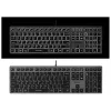 Laidinė klaviatūra A4Tech FX60H USB QWERTY – pilno dydžio 100%, balta foninė šviesa, pilka, USB šakotuvas