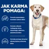 HILL'S PD D/D Food Sensitivities, antis ir ryžiai - sausas šunų maistas - 4 kg