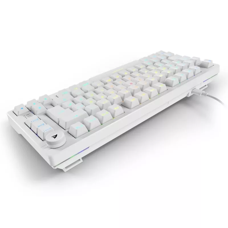 Klaviatūra Sharkoon SGK25 75% QWERTZ USB laidas RGB LED balta
