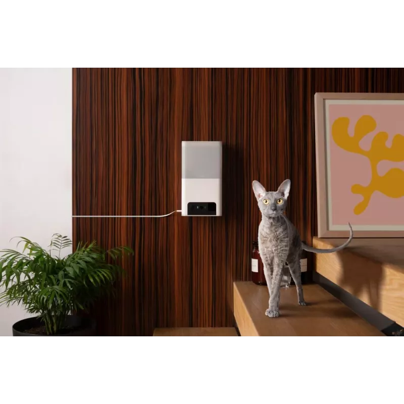 Petcube Camera Bites 2 Lite / BL10US