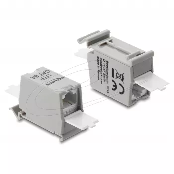 RJ45 jungtis DELOCK Cat.6A dviguba lizdas-lizdas, skirta montavimui ant DIN bėgio, pilka