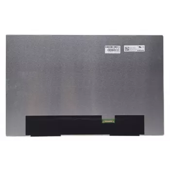 Kitas LC304394