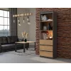 Biuro spintelė knygoms top e shop RS-60 ANT/ART KPL — 3 lentynos, medžio drožlių plokštė, 600×350×1800 mm