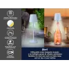 Garinis maisto garintuvas Beper P201UTP124 2 aukštai 800 W, stalviršinis maisto ruošimo prietaisas