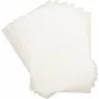 Laminavimo maišeliai DAHLE A3 303×426 mm 2×125 μm (250 μm) – 100 vnt. pakuotė