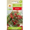 Bajaja Cherry Tomato Toraf daržovių sėklos, 0,3 g pakuotė