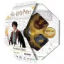 Harry Potter Wizard Quiz, Viktorinos žaidimas