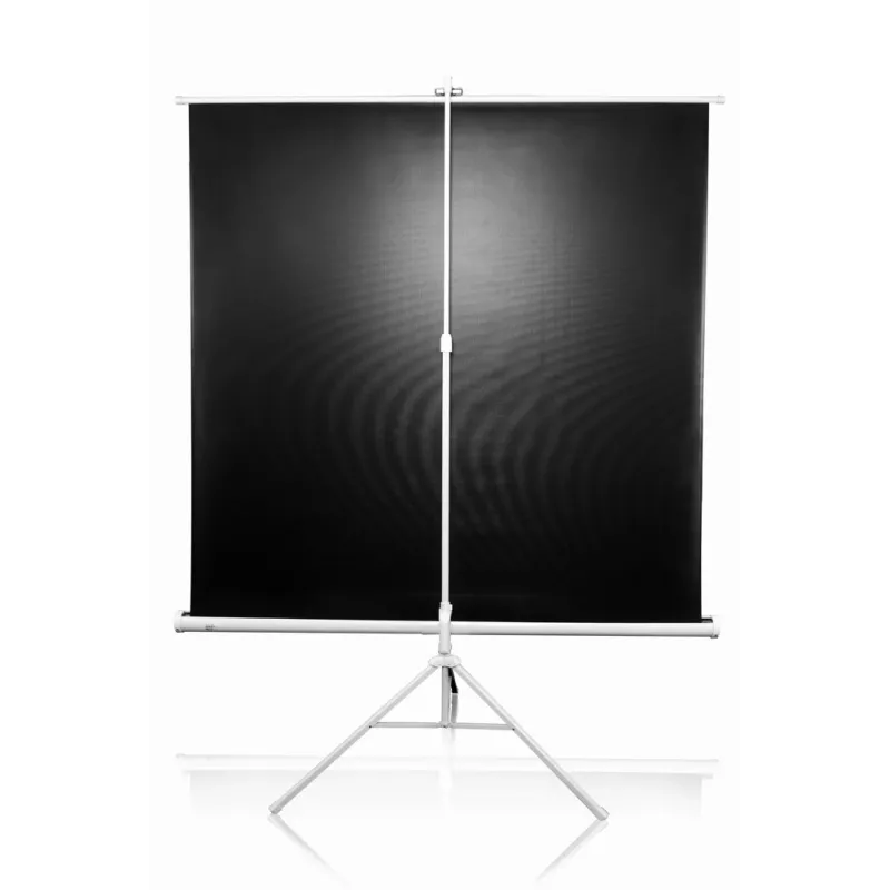 Stalinis projekcinis ekranas ant trikojo Elite Screens T113NWS1 2,87 m 1:1